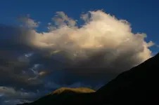 wallis_2010.webp