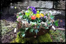 25.03 (2) Frühlingskorb.webp