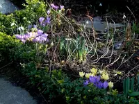 SDC13160.webp
