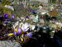 SDC13171.webp