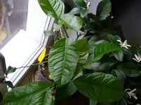 P1020612.webp