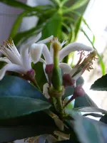 P1020615.webp