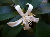 P1020614.webp