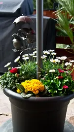 Olof Palme (2).webp