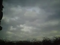 PIC00124.webp