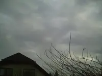 PIC00125.webp