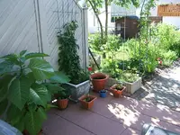 DSCF3746.webp
