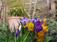 001.webp