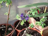 DSCF0041.webp