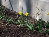 DSCF0050.webp