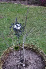 Magnolie.webp