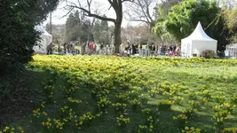 mpg086.webp