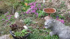 027 (2).webp
