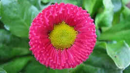 034 (2).webp