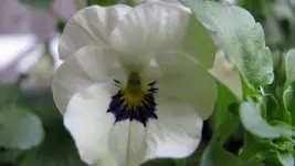 037 (2).webp