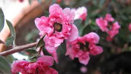 043 (2).webp
