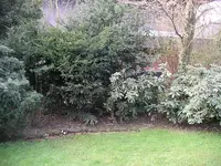 IMGP0097.webp