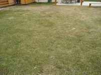 RASEN4.webp