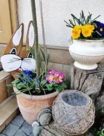 DSC00924.webp