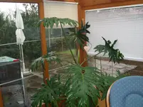 CIMG3567.webp