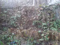 Foto0062.webp