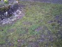 Foto0061.webp Foto0061.webp