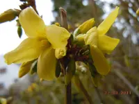 083.webp