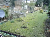 IMGP2445.webp