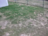 IMG_7652_resize.webp