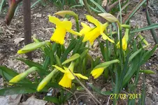 100_2769.webp