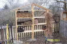 100_2770.webp