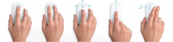 MagicMouse.webp