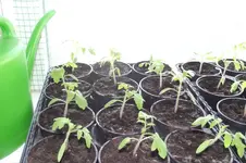 Garten 064.jpg