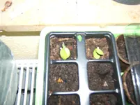 DSCF2137.webp