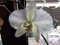 DSCF0056.webp