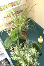 März 2 2011 008.webp