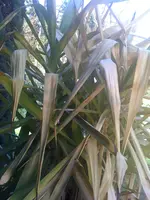 IMG_0015.webp