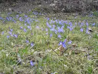 014.webp
