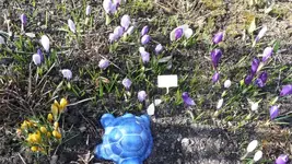 Frühling 2011 (2).webp