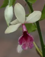 IMG_0453.webp IMG_0453.webp