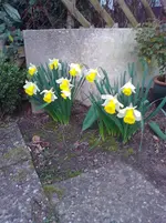 Foto0085.webp
