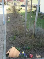 DSC03545.webp