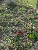 DSC03543.webp