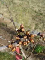 DSC03544.webp