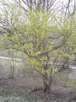 011.webp