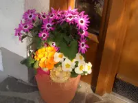 CIMG3570.webp