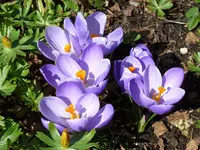 P1020560.webp