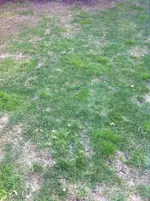 IMG_0010.webp