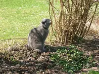 DSCF5081.webp
