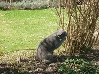 DSCF5082.webp